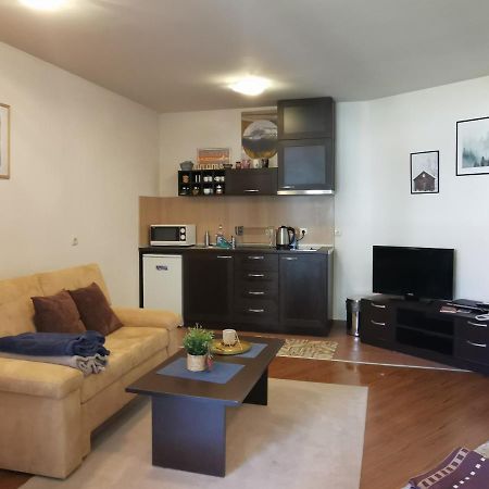 Sunny Studio Apartment - Few Steps From Gondola Бансько Екстер'єр фото