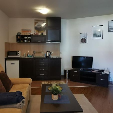 Sunny Studio Apartment - Few Steps From Gondola Бансько Екстер'єр фото