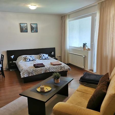 Sunny Studio Apartment - Few Steps From Gondola Бансько Екстер'єр фото