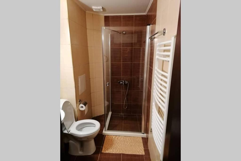 Sunny Studio Apartment - Few Steps From Gondola Бансько Екстер'єр фото