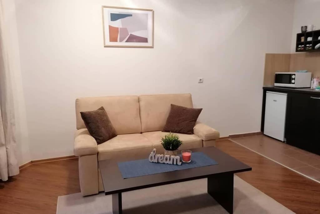 Sunny Studio Apartment - Few Steps From Gondola Бансько Екстер'єр фото