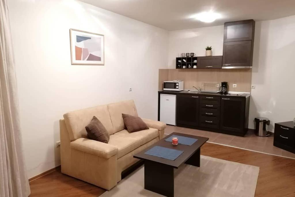 Sunny Studio Apartment - Few Steps From Gondola Бансько Екстер'єр фото