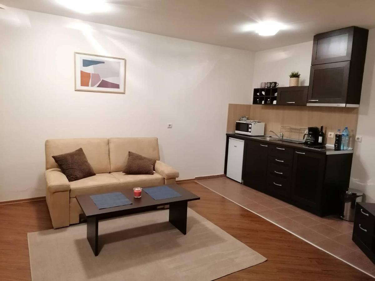 Sunny Studio Apartment - Few Steps From Gondola Бансько Екстер'єр фото