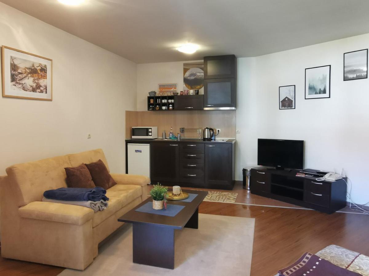 Sunny Studio Apartment - Few Steps From Gondola Бансько Екстер'єр фото