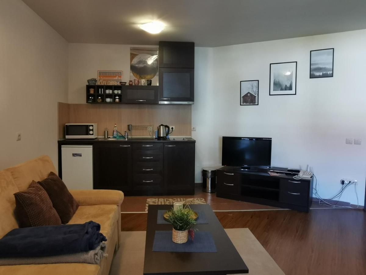 Sunny Studio Apartment - Few Steps From Gondola Бансько Екстер'єр фото