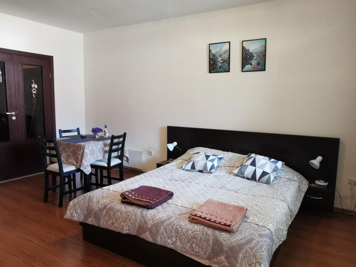 Sunny Studio Apartment - Few Steps From Gondola Бансько Екстер'єр фото