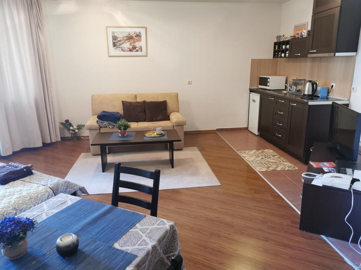 Sunny Studio Apartment - Few Steps From Gondola Бансько Екстер'єр фото