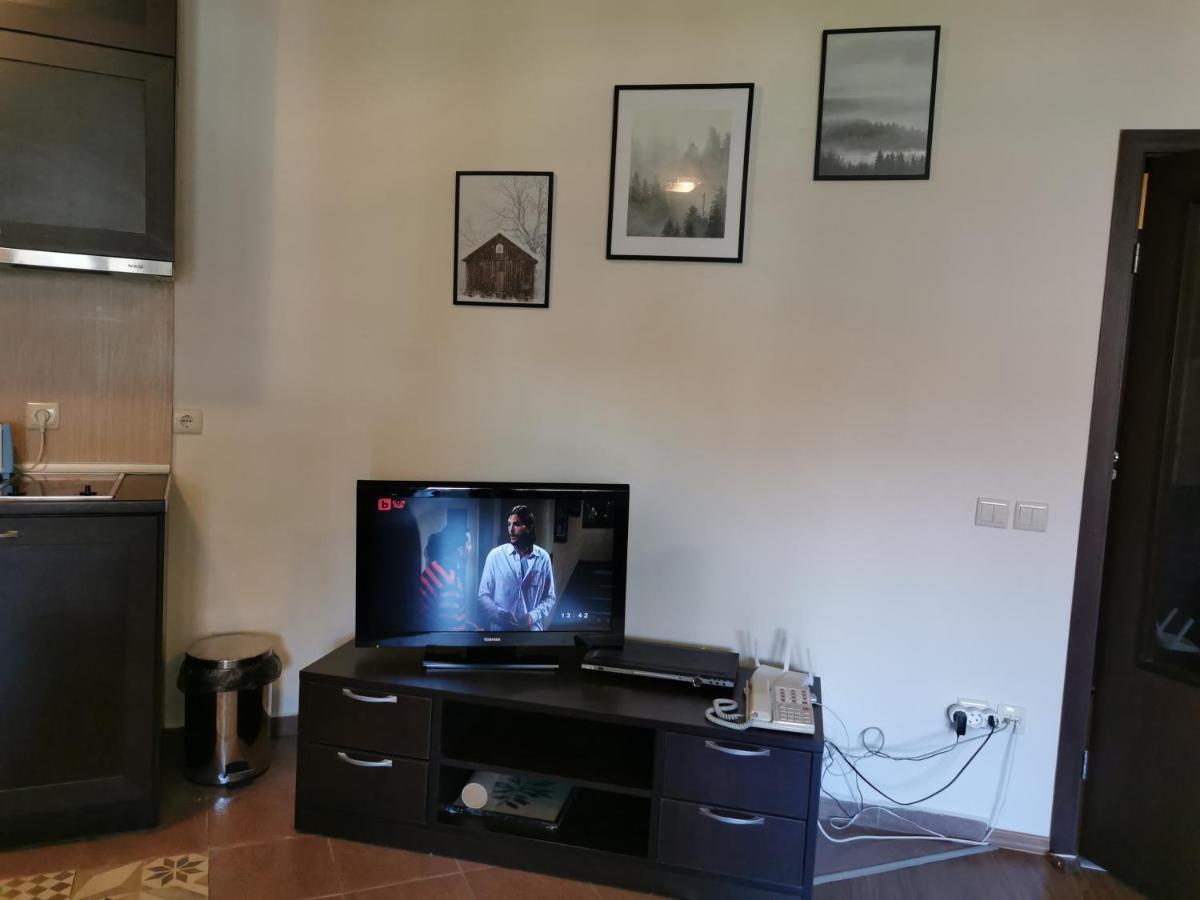 Sunny Studio Apartment - Few Steps From Gondola Бансько Екстер'єр фото
