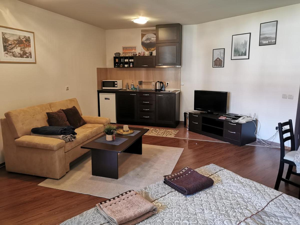 Sunny Studio Apartment - Few Steps From Gondola Бансько Екстер'єр фото